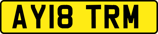 AY18TRM