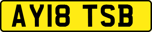 AY18TSB