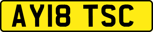 AY18TSC