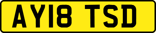 AY18TSD