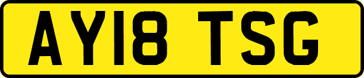 AY18TSG
