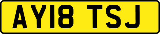 AY18TSJ