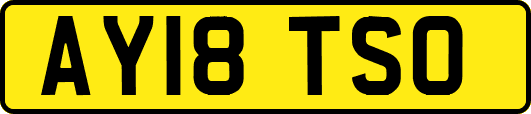 AY18TSO