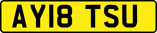 AY18TSU