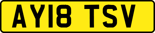 AY18TSV