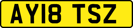 AY18TSZ