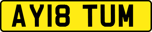 AY18TUM