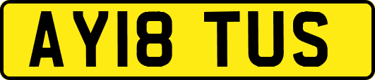 AY18TUS