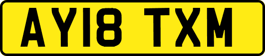 AY18TXM