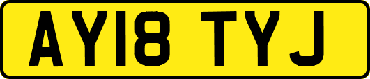 AY18TYJ