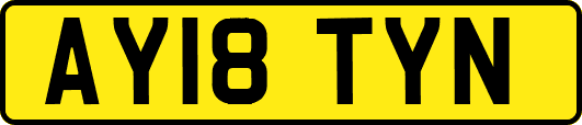 AY18TYN