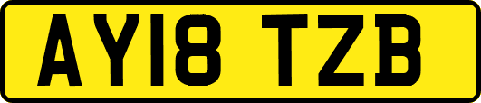 AY18TZB