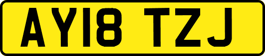 AY18TZJ
