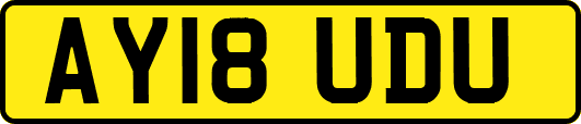 AY18UDU