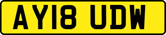 AY18UDW
