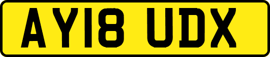 AY18UDX