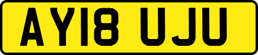 AY18UJU