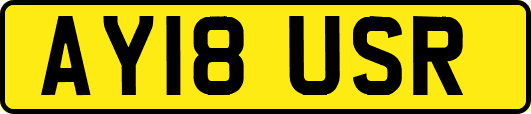AY18USR