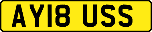 AY18USS