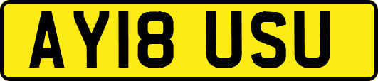 AY18USU