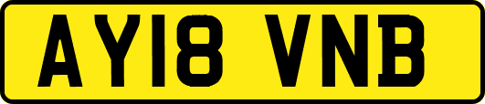 AY18VNB