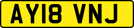 AY18VNJ