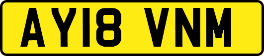 AY18VNM