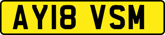 AY18VSM