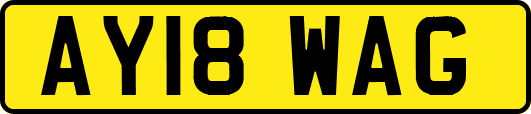 AY18WAG