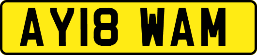 AY18WAM