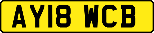 AY18WCB