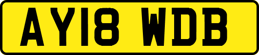 AY18WDB