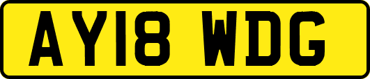 AY18WDG
