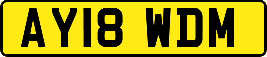 AY18WDM