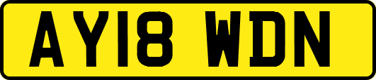 AY18WDN