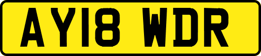 AY18WDR