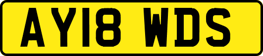 AY18WDS