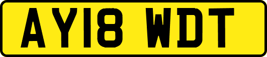 AY18WDT