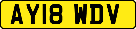 AY18WDV