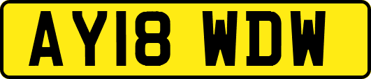 AY18WDW