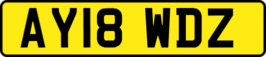 AY18WDZ