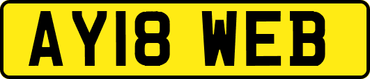 AY18WEB