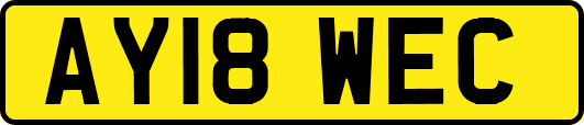 AY18WEC