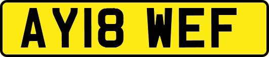 AY18WEF