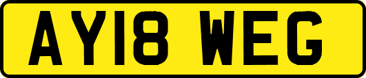 AY18WEG