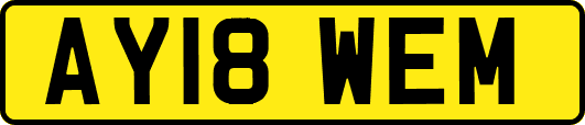 AY18WEM