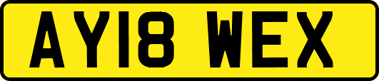AY18WEX