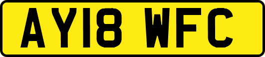 AY18WFC