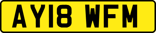 AY18WFM