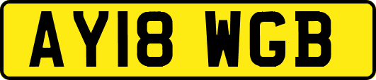 AY18WGB